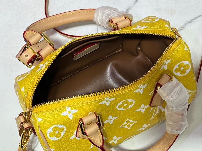 LV Speedy Bags